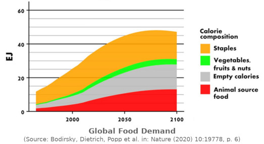Globale Nachfrage nach Nahrungsmitteln 1960-2100. 